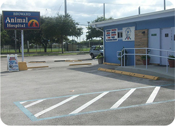 Our Animal Hospital in Hollywood, FL