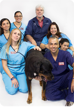 Animal Hospital in Hollywood: Our staff